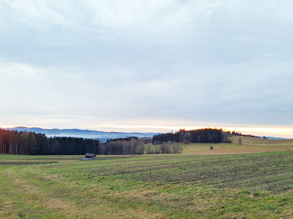 Zu sehen ist eine Landschaft in Oberösterreich mit bewöltem blauen Himmel und saftiger grünen Wiese